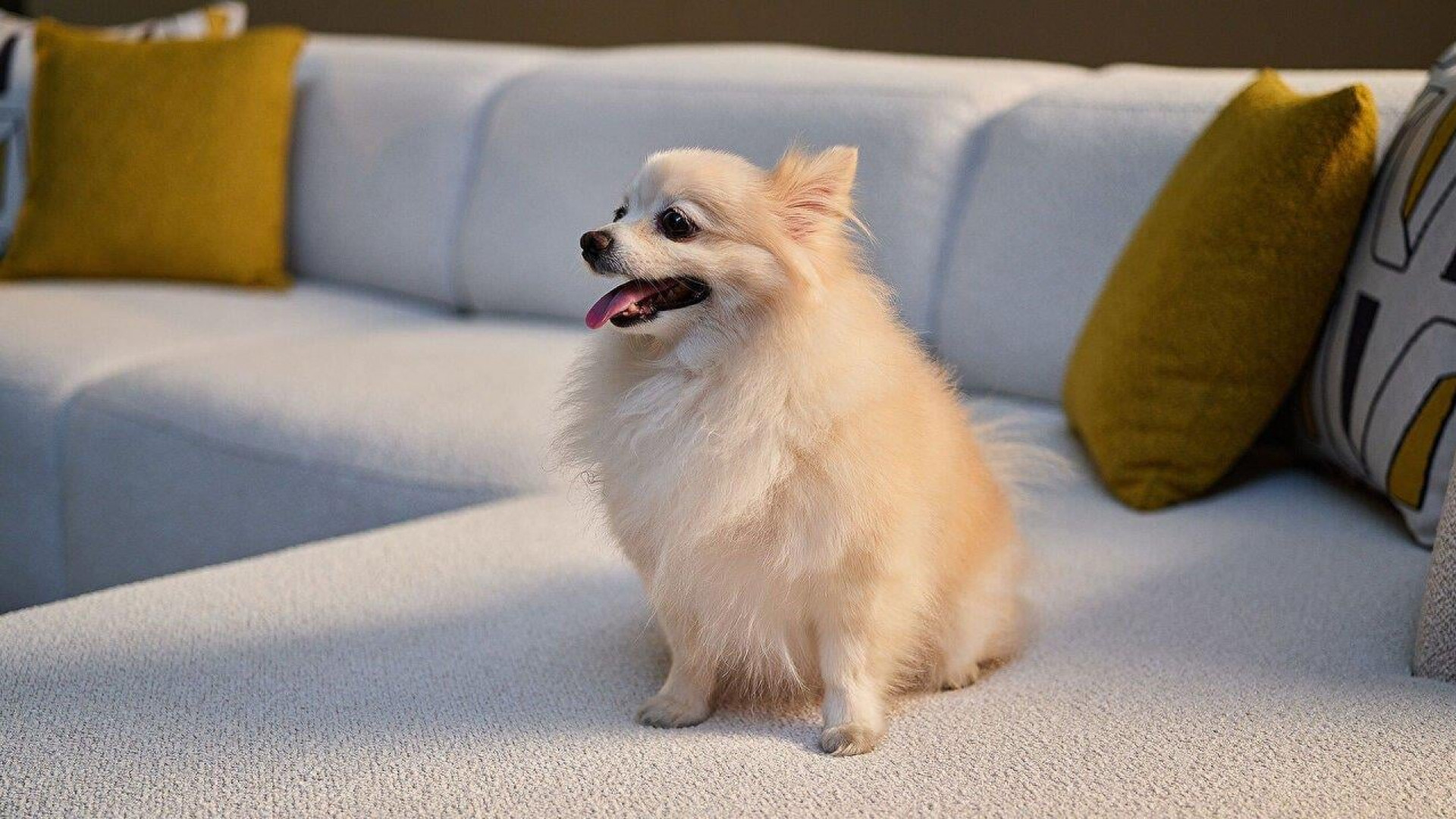 Picasso Wohnlandschaft